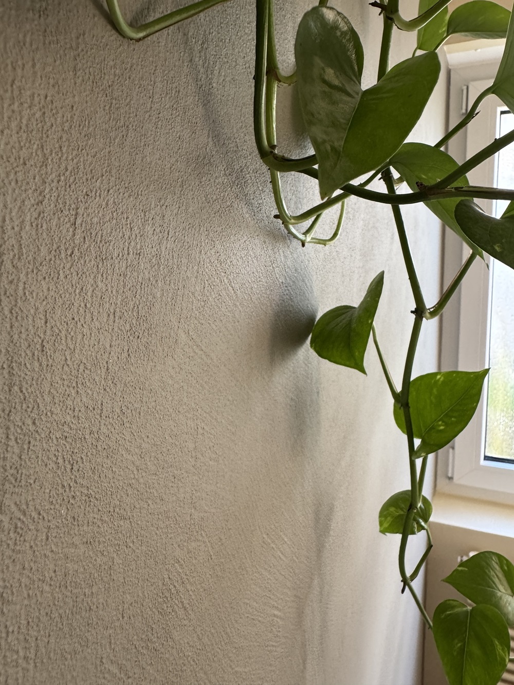 Putzoberfläche in einem fugenlosem Bad