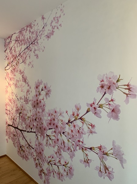 Fototapete mit blühendem Baum